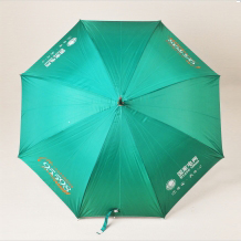 國家電網綠色雨傘